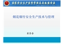 煙花爆竹安全生產(chǎn)技術(shù)與管理