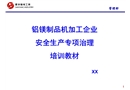鋁鎂制品機加工企業(yè)安全生產(chǎn)專項治理培訓教材