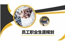 員工職業(yè)生涯規(guī)劃