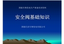 安全閥基礎(chǔ)