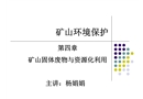礦業(yè)固體廢物與資源化利用