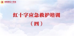 應(yīng)急救護(hù)培訓(xùn) 第四課 常見(jiàn)疾病和意外傷害的救護(hù)