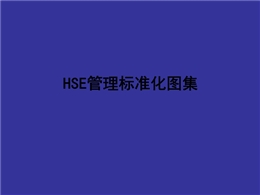建筑工程HSE管理安全施工標(biāo)準(zhǔn)化圖集
