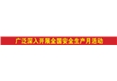 廣泛深入開展全國安全生產(chǎn)月活動